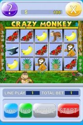 game pic for Crazy Monkey slot machine